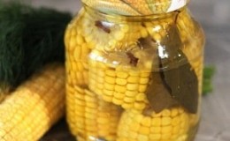 Cómo preparar adecuadamente mazorcas de maíz en escabeche para el invierno: las mejores recetas