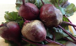 How to properly use beets for pancreatitis of the pancreas