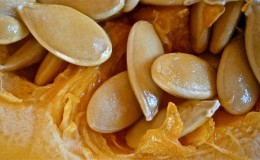 Los beneficios y daños de las semillas de calabaza para las mujeres: efecto terapéutico y reglas para el uso de semillas de calabaza.