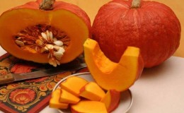 Dulces de calabaza sin pretensiones en el cuidado y de sabor dulce: ventajas y desventajas de la variedad.