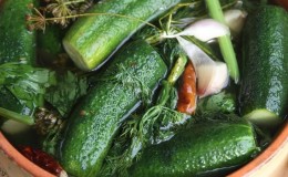 Classic recipes for lightly salted cucumbers in a saucepan