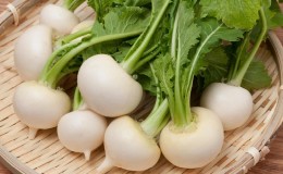 Proven ways to properly store turnips for the winter