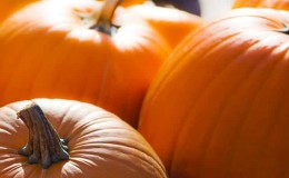 Cómo almacenar la calabaza correctamente: diferentes métodos y secretos para crear las condiciones óptimas para conservar la verdura