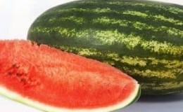 Pastèque hybride Ataman à maturité précoce avec des fruits géants et un goût unique