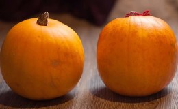 ¿Qué tiene de bueno la calabaza Orange Bush y por qué deberías intentar cultivarla en tu propia parcela?