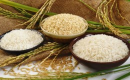 Attention, le gluten : en trouve-t-on dans le riz ?