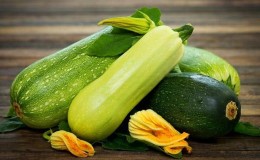 Wie unterscheiden sich Zucchini und Zucchini in Aussehen, Geschmack und anderen Eigenschaften: Schauen wir uns das genauer an und verwechseln wir es nicht mehr