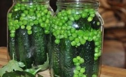 Nous préservons le goût et les propriétés bénéfiques toute l'année : cosses de pois - recettes pour l'hiver de ménagères expérimentées