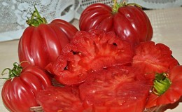 Tomato Pink Fig yang kelihatan menakjubkan dengan rasa buah yang manis - pelbagai untuk gourmet sebenar