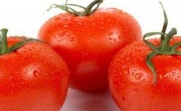 Mengapa tomato Gardener's Dream sangat disukai dan popular: penerangan tentang varieti dan ulasan daripada penduduk musim panas yang berpengalaman