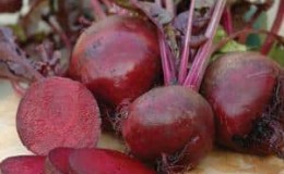 How to properly grow and when to collect beet seeds: step-by-step guide and important tips