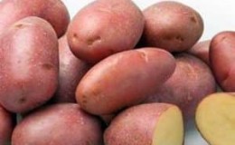 Utmärkt smak av röd potatis: vad har de för egenskaper och vilka typer finns det?