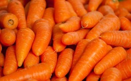 Can an allergy to carrots occur, how does it manifest itself and how is it treated?