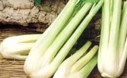 Isang sunud-sunod na gabay sa paglaki ng petiole celery sa labas