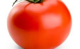 Beaucoup se demandent si une tomate est une baie ou un légume : découvrons-le ensemble et considérons différents points de vue