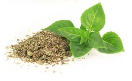 Bagaimana untuk menyediakan basil dengan betul untuk musim sejuk di rumah dengan cara yang berbeza