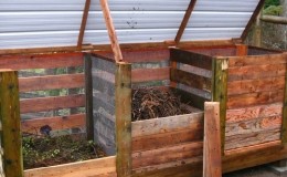 Is it possible to put potato tops in a compost heap and how else can they be used on the site?