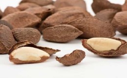 Beneficios de las nueces de Brasil para las mujeres