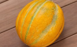 What is good about the Ethiopian melon and why you should try growing it yourself