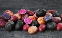 Amazing colored potatoes: varieties and their beneficial properties