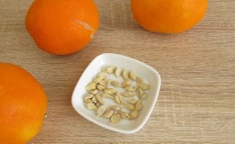 Is it possible to grow an orange from a seed and how to do it at home