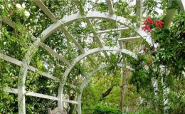 Como fazer uma pérgola para uvas com as próprias mãos