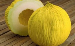 Perché il melone ha un sapore amaro e puoi mangiarlo?