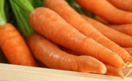 Shelf life of carrots in the refrigerator and how to do it correctly