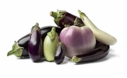 What are the health benefits and harms of eggplants?