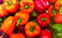 Hvor og hvordan lagre paprika for vinteren: fersk, frossen, tørket, tørket og hermetisert