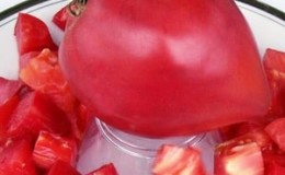 Varieti hibrid masak awal dari penternak Siberia - tomato Ob Domes dan ulasan daripada penduduk musim panas tentang tomato ini