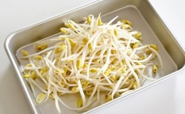 Ano ang mga pakinabang ng bean sprouts, kung paano sumisibol ang mga ito ng tama at masarap na lutuin