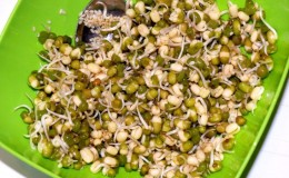 Isang tunay na paghahanap para sa mga pumapayat at mga hilaw na foodist: kung paano patubuin ang mung bean sa bahay at kung paano ito kainin ng tama