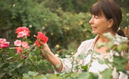 Ci prendiamo cura delle rose in giardino in estate affinché fioriscano magnificamente e a lungo