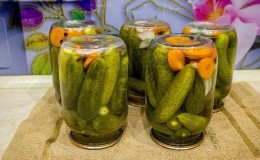 The most delicious preparations of pickled cucumbers with citric acid