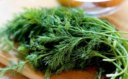 Posible bang kumain ng dill para sa gastritis at kung paano gamitin ito sa mga recipe ng tradisyonal na gamot