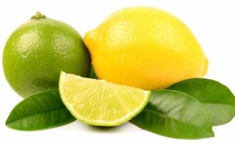 Qu’est-ce que le citron vert et en quoi est-il différent du citron ?