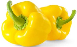 Characteristics and description of yellow pepper varieties