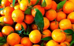 Ano ang pagkakaiba ng clementine at tangerines at alin ang mas malusog?