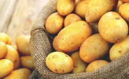 How does potato allergy manifest in children and adults?