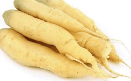 Varieties of white carrots and their beneficial properties for the human body