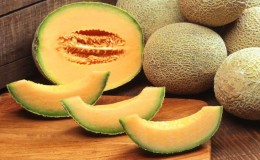 Exotic cantaloupe cantaloupe: review of a variety with amazing taste and aroma