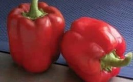 Saftig og produktiv Red Bull pepper for dyrking av uvanlig smakfulle frukter på din egen tomt