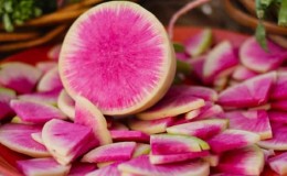 Unusual-looking and pleasant-tasting watermelon radish: why it’s good and how to grow it