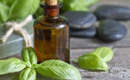 What are the benefits of basil essential oil and how to use it correctly