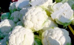 Kailan maghiwa ng cauliflower