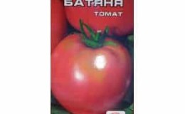 Tomato merah jambu berbentuk hati klasik Batyanya: ulasan dan foto penuaian tomato yang dihasilkan