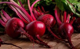 Top 12 best beet varieties: overview of different types and tips for choosing the most suitable one