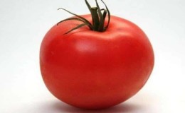 Hibrid berterusan dari penternak Jepun - tomato Michel f1: kami menanamnya sendiri tanpa kerumitan