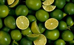 What is lime - what kind of plant is it and how does it grow